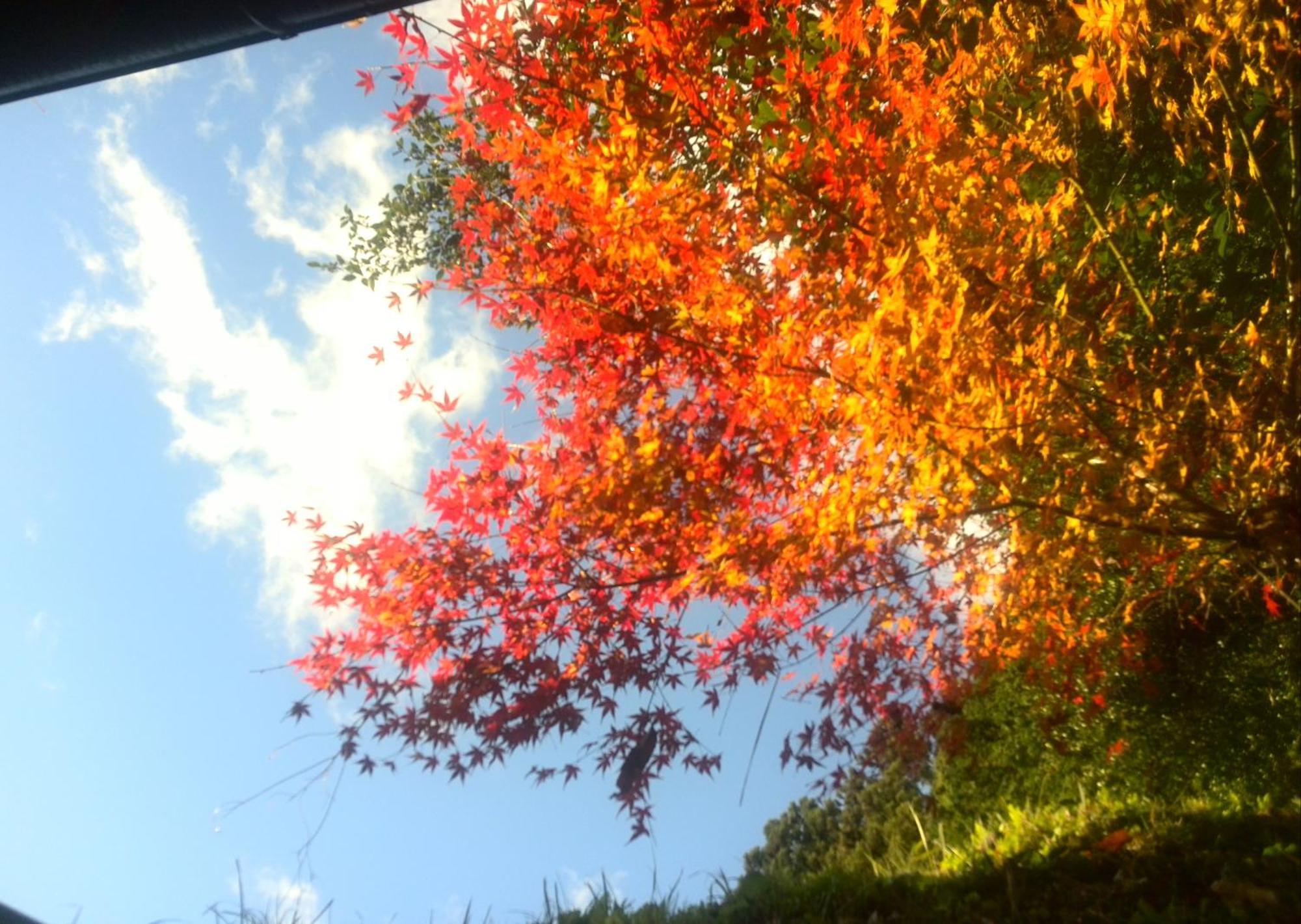 Kamakurayama Farm - B&B Satoyama 우다 외부 사진